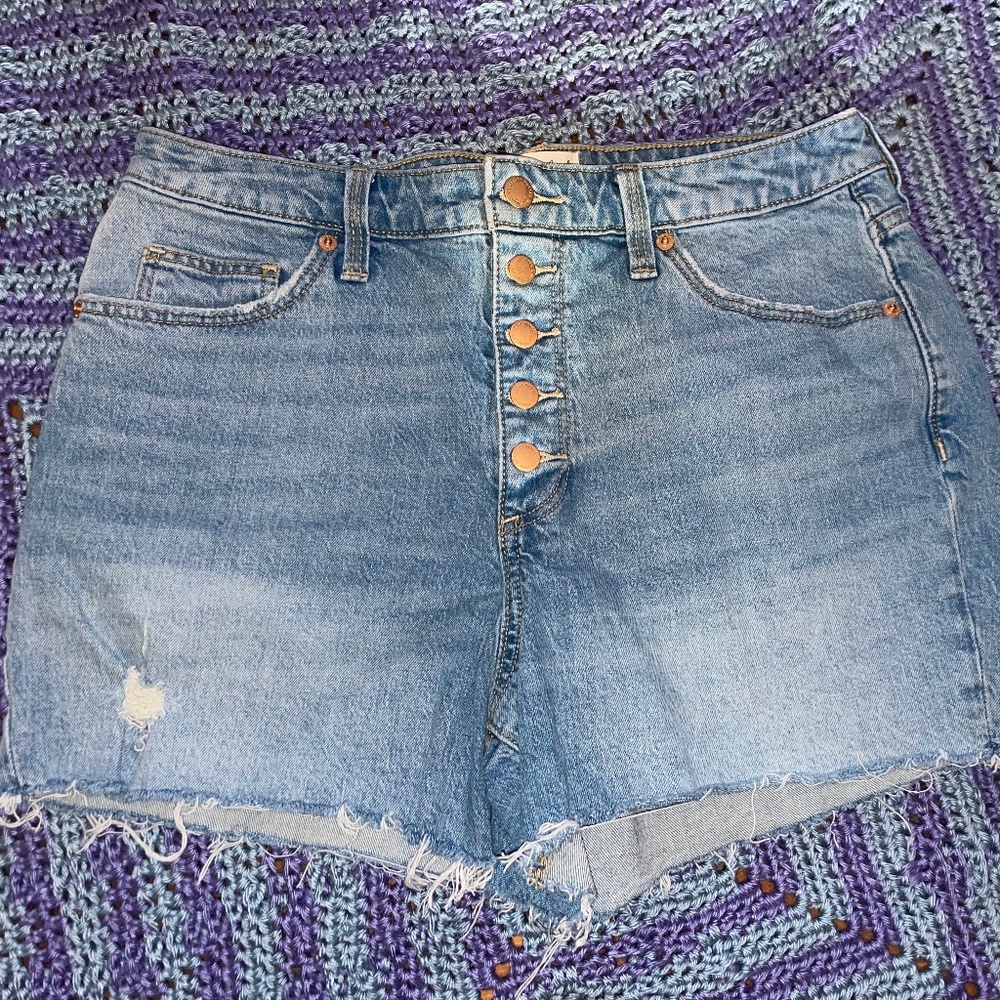 Vintage Jean Shorts